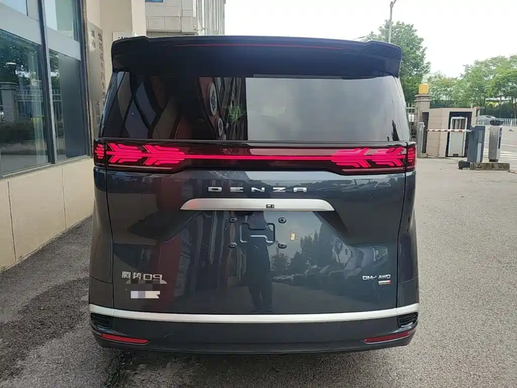 Denza Denza D9 — миниатюра 6