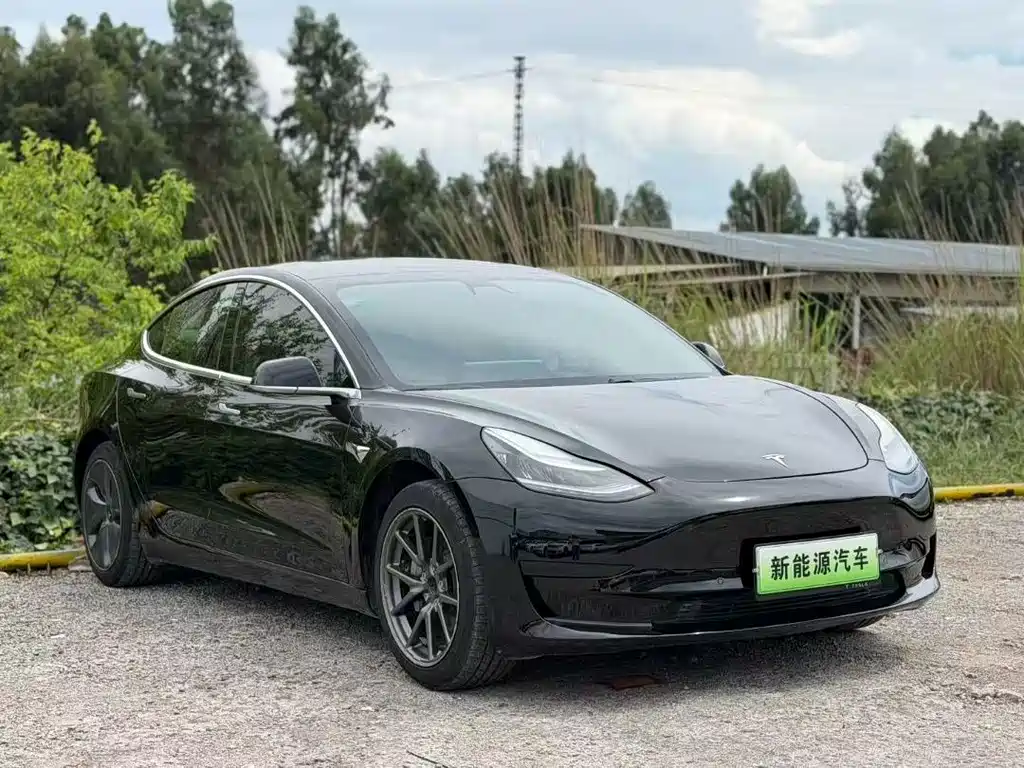 Tesla Model 3 — миниатюра 3