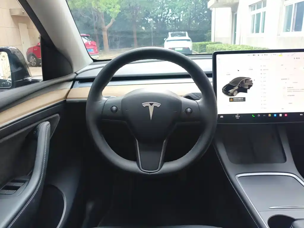 Tesla Model Y — миниатюра 11