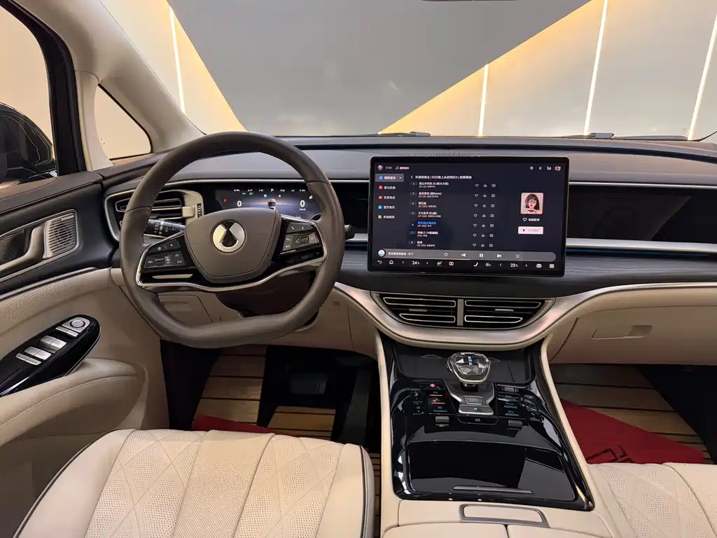 Denza Denza D9 — миниатюра 25