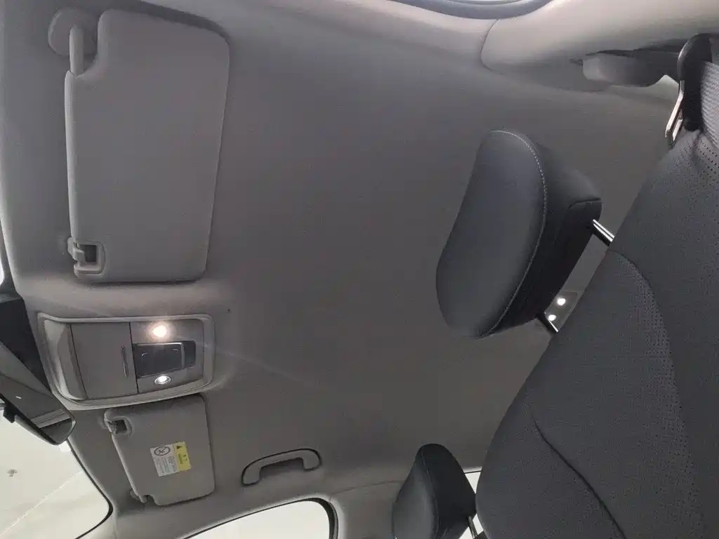 BYD Sealion 05 DM-i — миниатюра 15