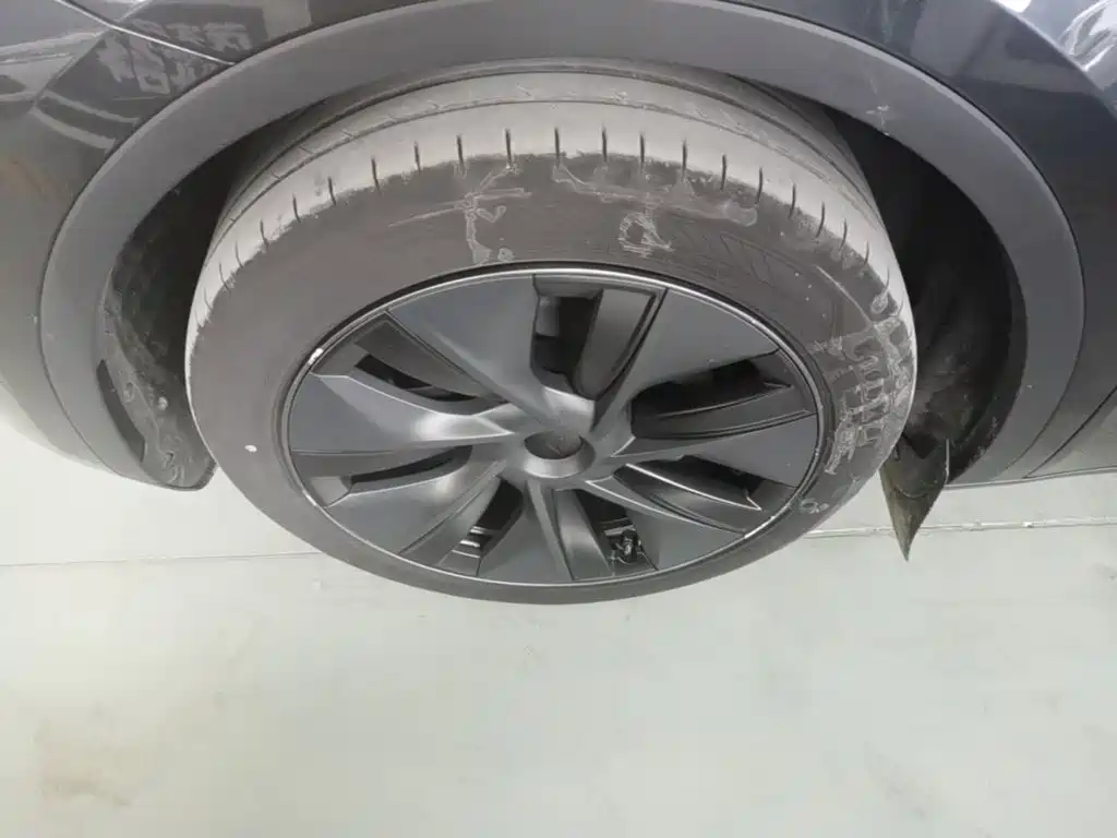 Tesla Model Y — миниатюра 23