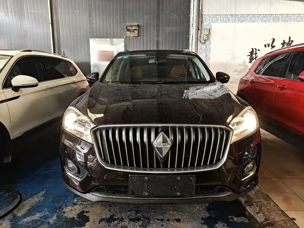 Borgward BX7 — миниатюра 3