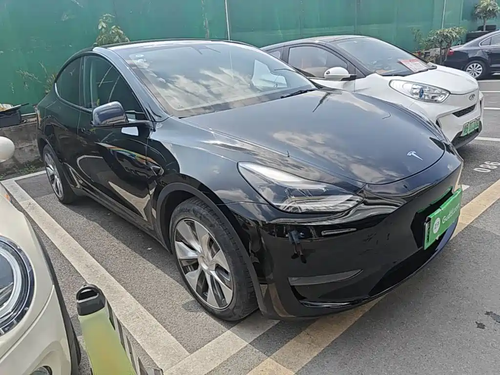 Tesla Model Y — миниатюра 22