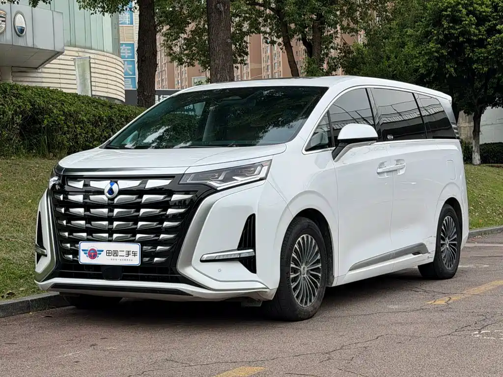 Denza Denza D9