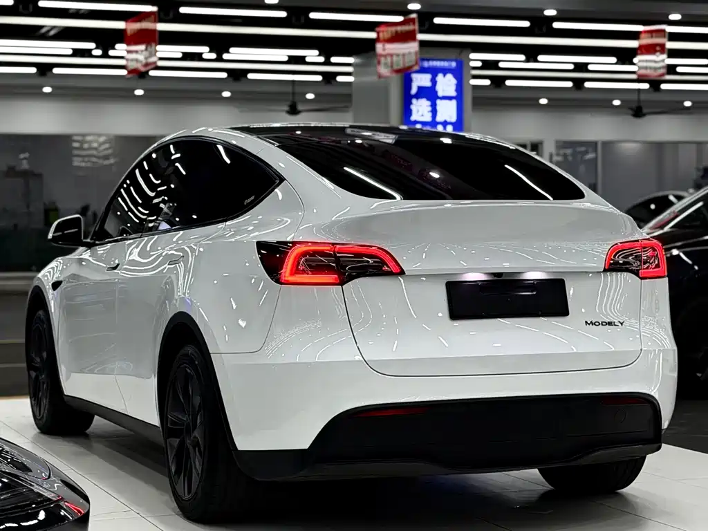 Tesla Model Y — миниатюра 4
