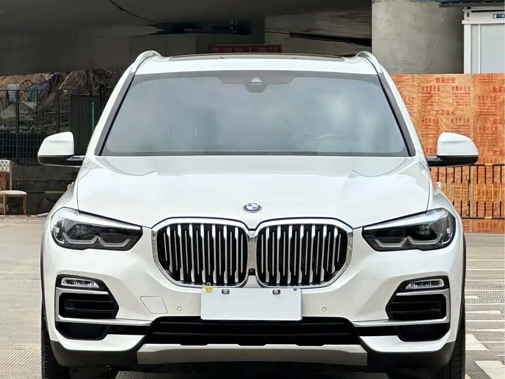 BMW X5 (Import) — миниатюра 2