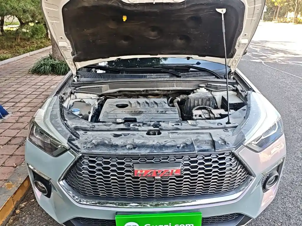 Haval H6 Coupe — миниатюра 20