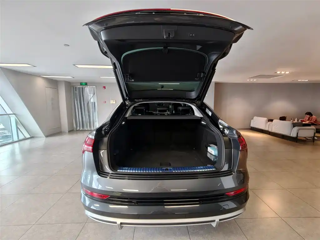 Audi e-tron (Import) — миниатюра 6