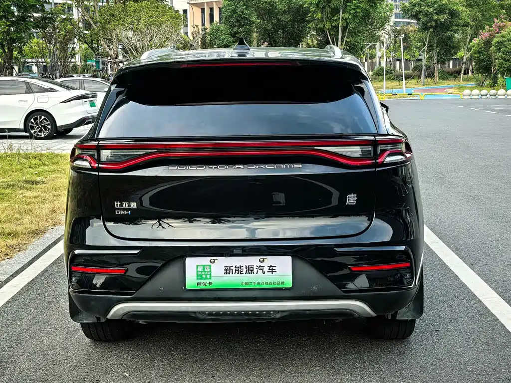 BYD Tang New Energy — миниатюра 14