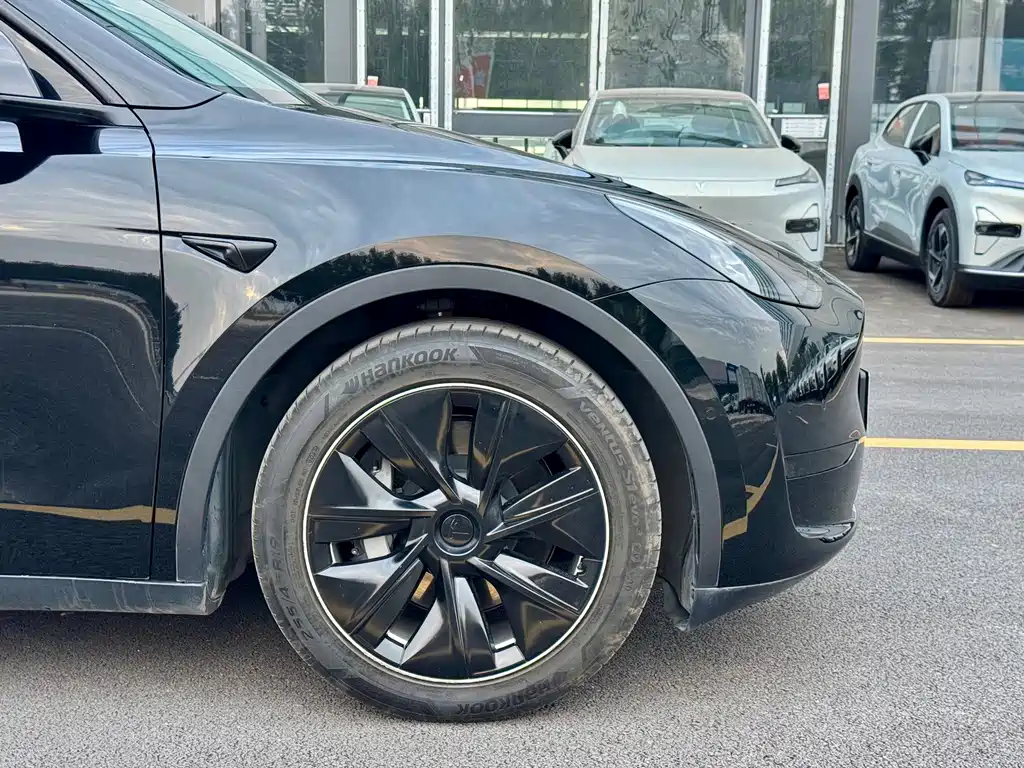 Tesla Model Y — миниатюра 8