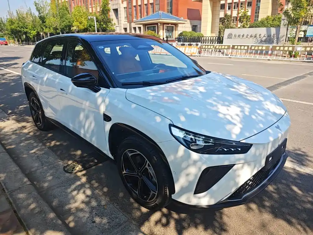 Neta Neta L — миниатюра 4
