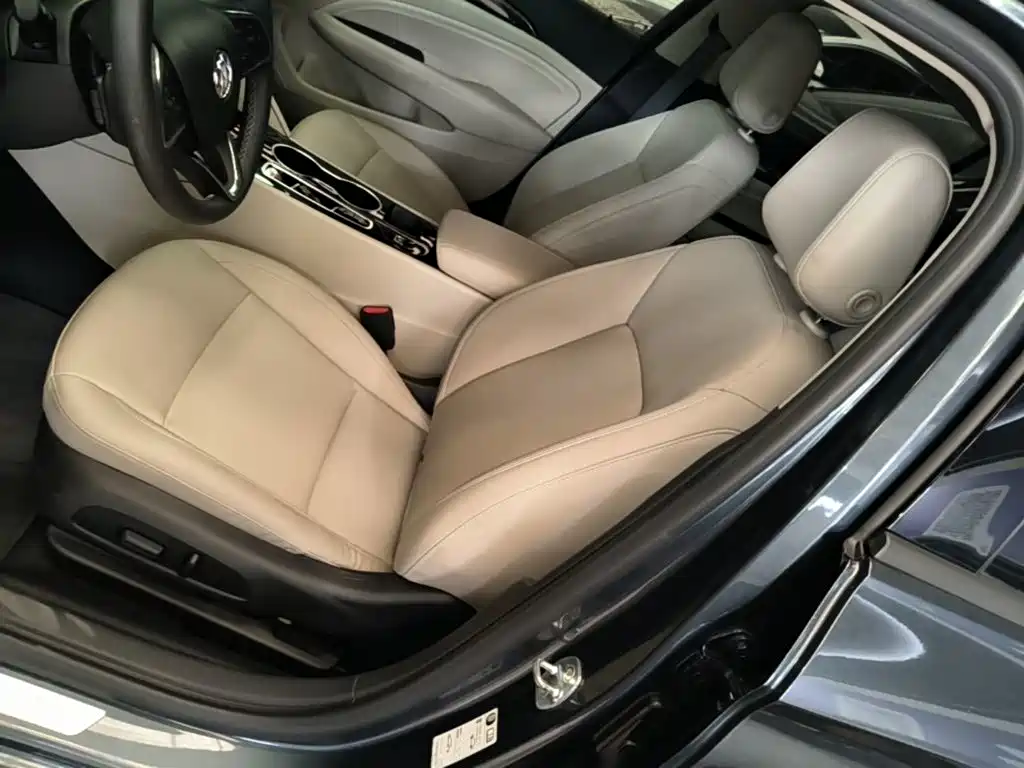 Buick Regal — миниатюра 15