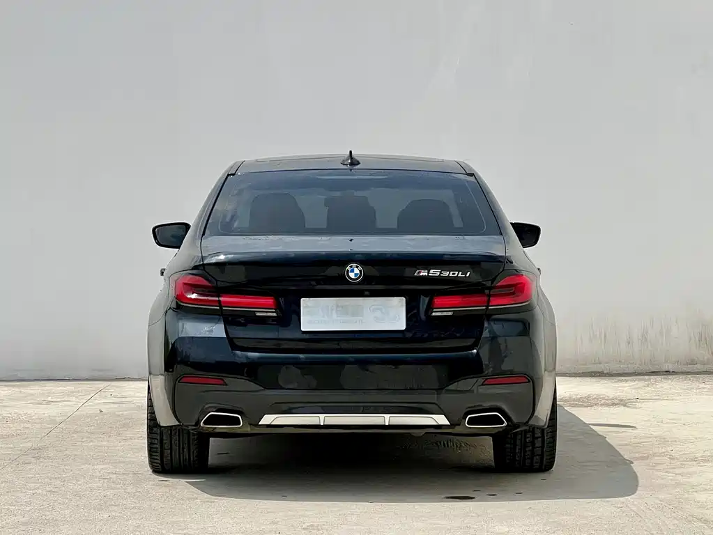BMW 5 Series — миниатюра 3