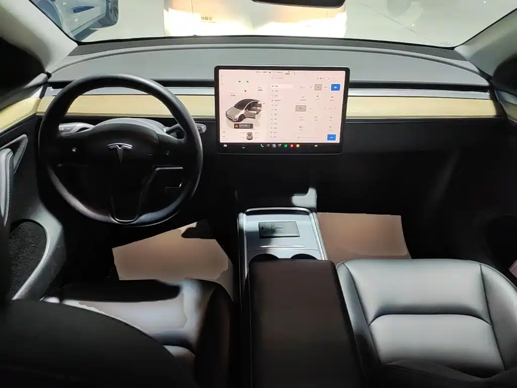 Tesla Model Y — миниатюра 10