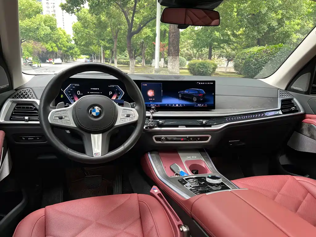 BMW X5 — миниатюра 13