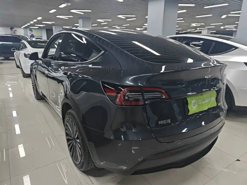 Tesla Model Y — миниатюра 5