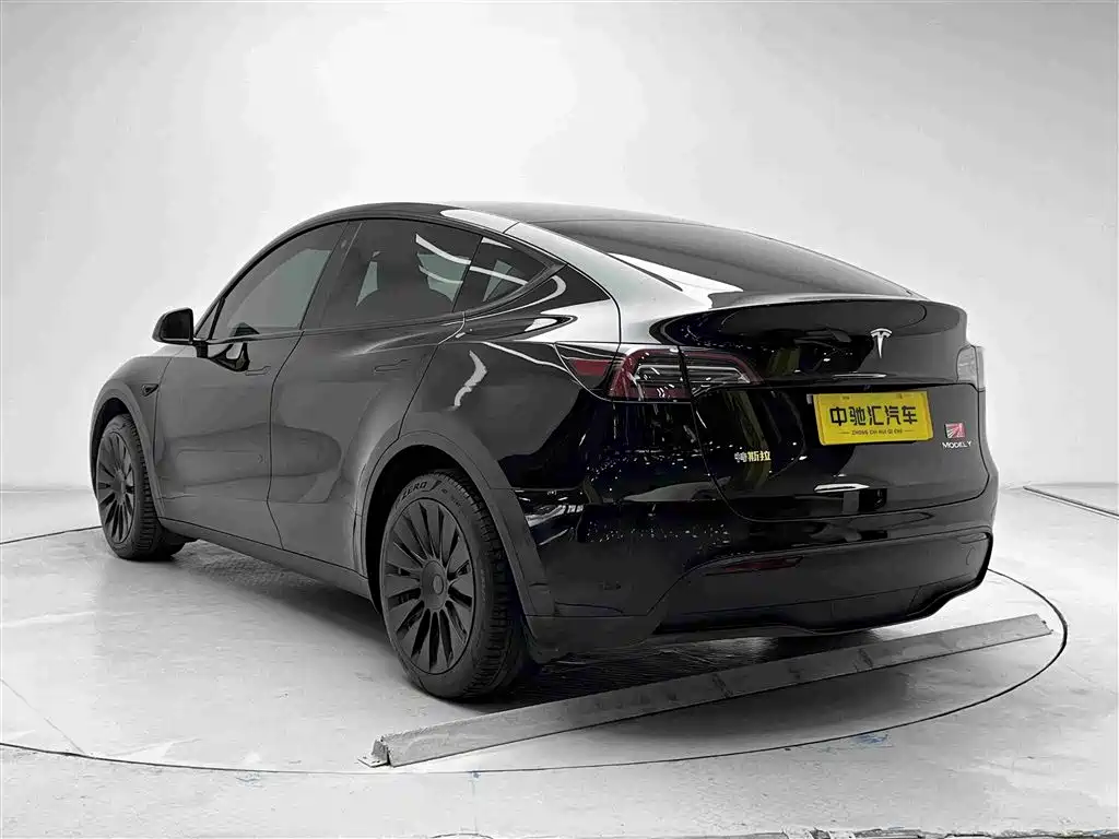 Tesla Model Y — миниатюра 18