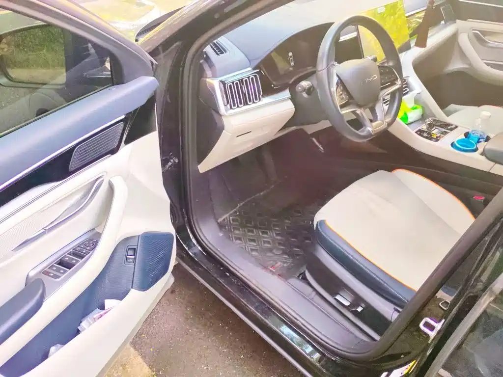 BYD PLUS New Energy — миниатюра 12