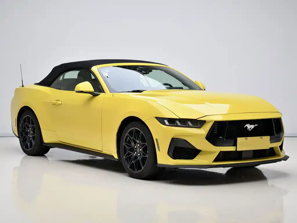 Ford Mustang — миниатюра 3