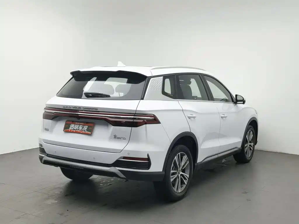 BYD Pro — миниатюра 2