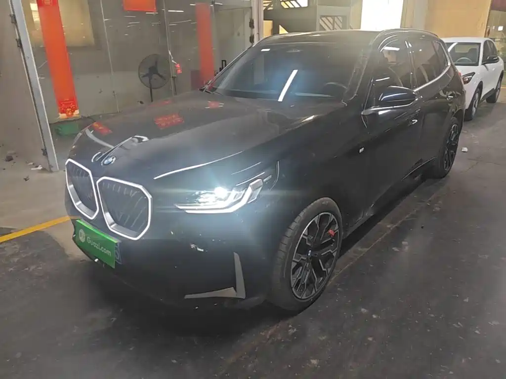 BMW X3 — миниатюра 2