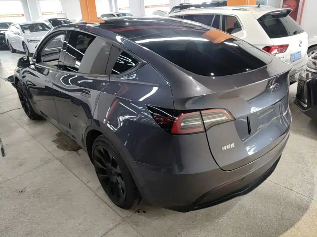 Tesla Model Y — миниатюра 5