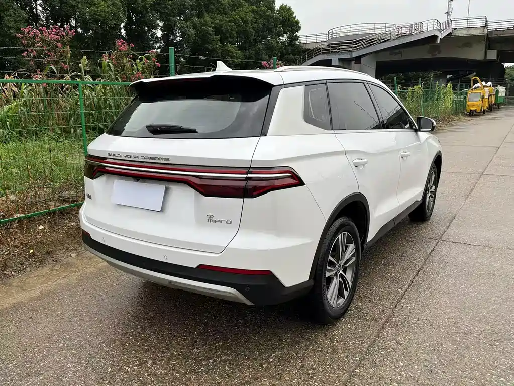 BYD Pro — миниатюра 19