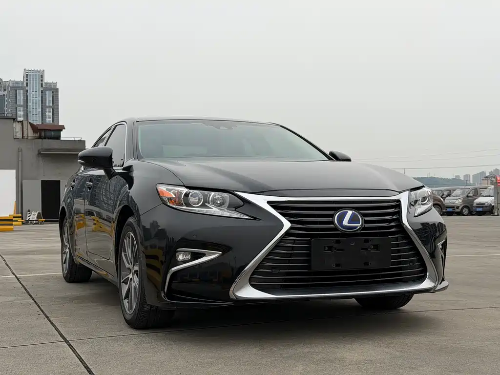 Lexus ES 300h Comfort Edition, фото 6