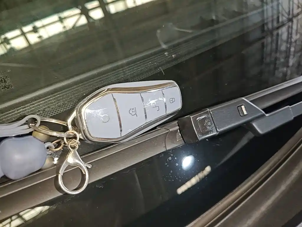 BYD Pro New Energy — миниатюра 9