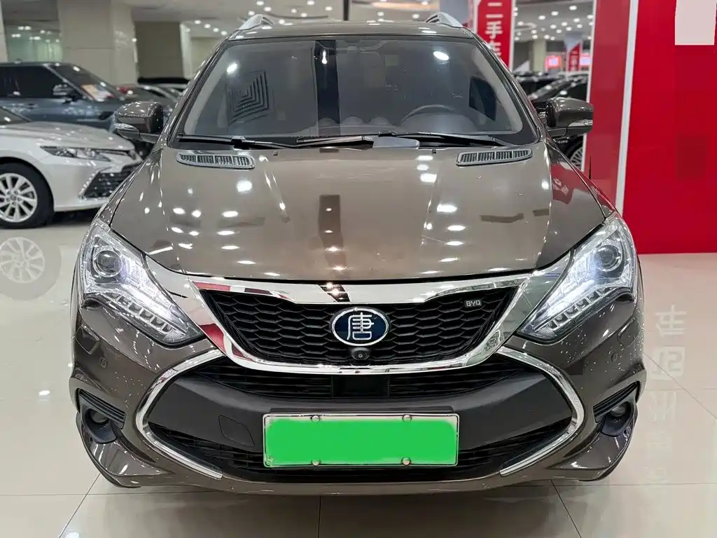 BYD Tang New Energy — миниатюра 2