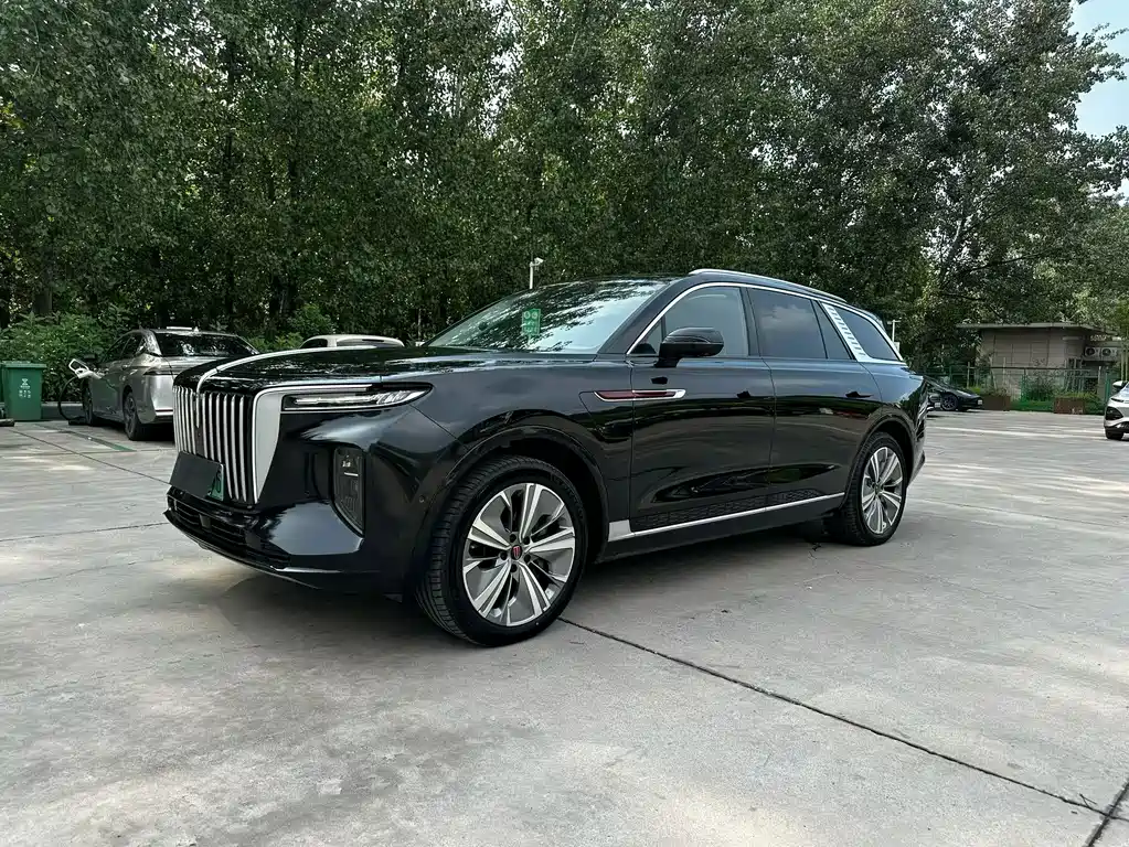 Hongqi Hongqi E-HS9
