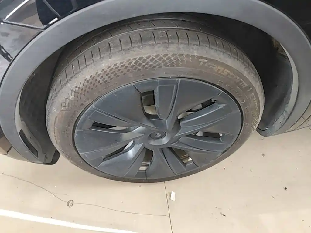 Tesla Model Y — миниатюра 23