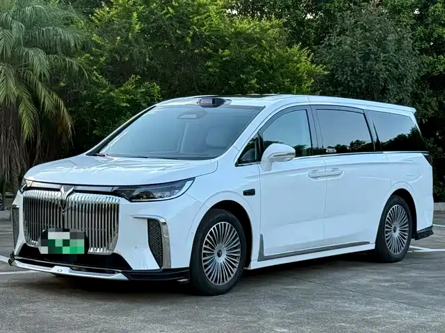 2025 Voyah Dream