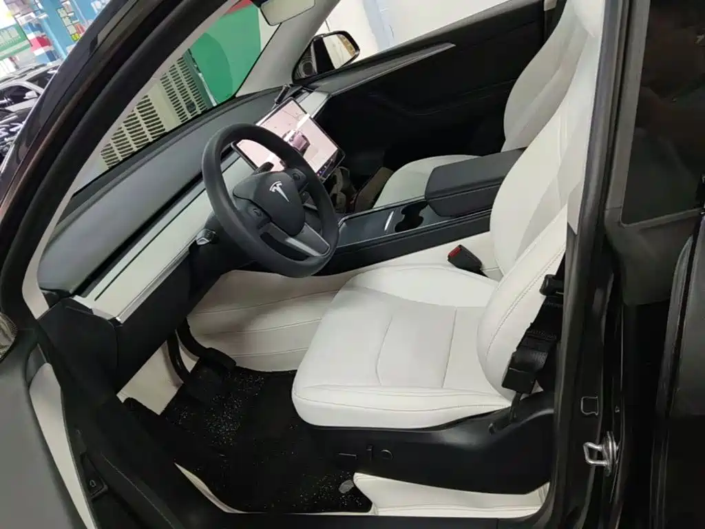 Tesla Model Y — миниатюра 15