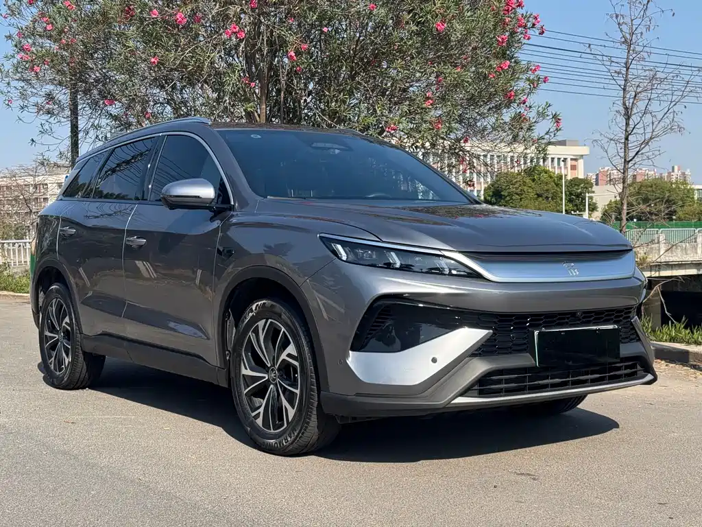 BYD SONGJIANG NEW ENERGY