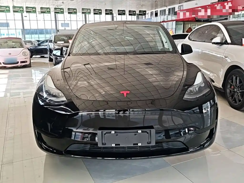 Tesla Model Y — миниатюра 3