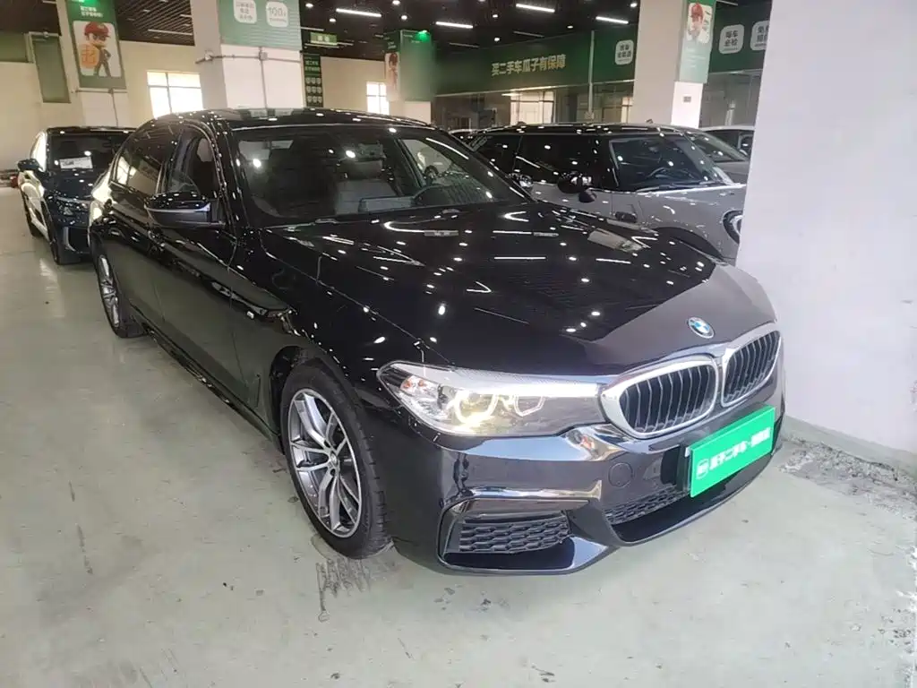 BMW 5 Series — миниатюра 4