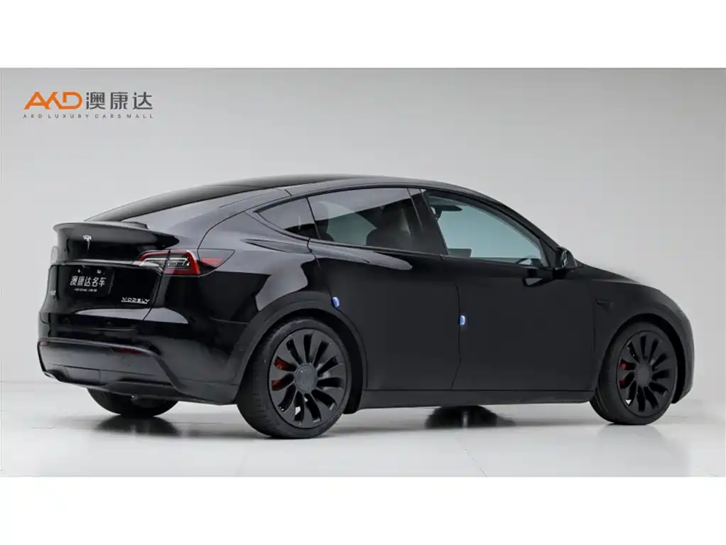 Tesla Model Y — миниатюра 3