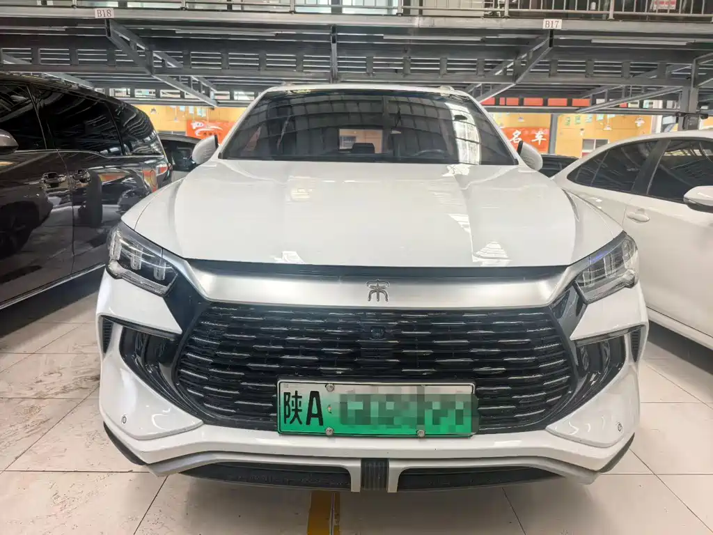 BYD Pro New Energy — миниатюра 2