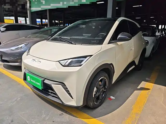 2023 BYD Seagull