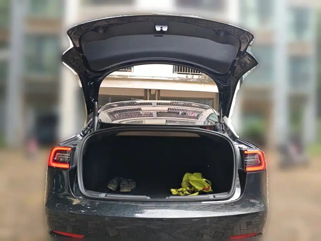 Tesla Model 3 — миниатюра 16