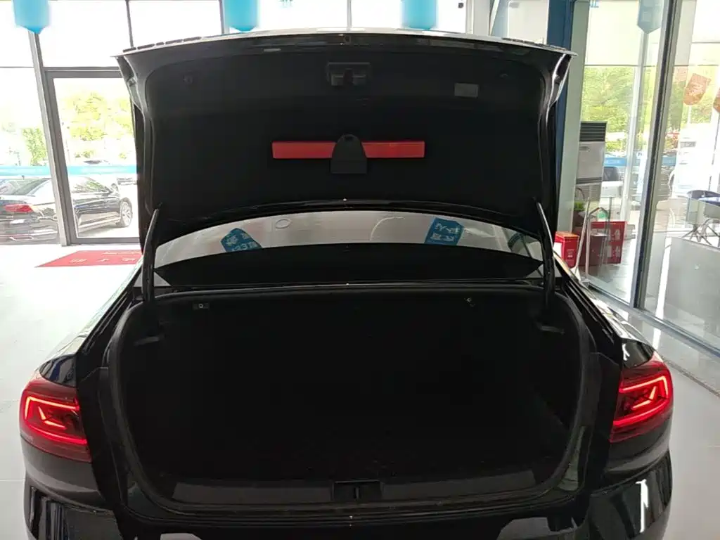 Volkswagen Magotan — миниатюра 19