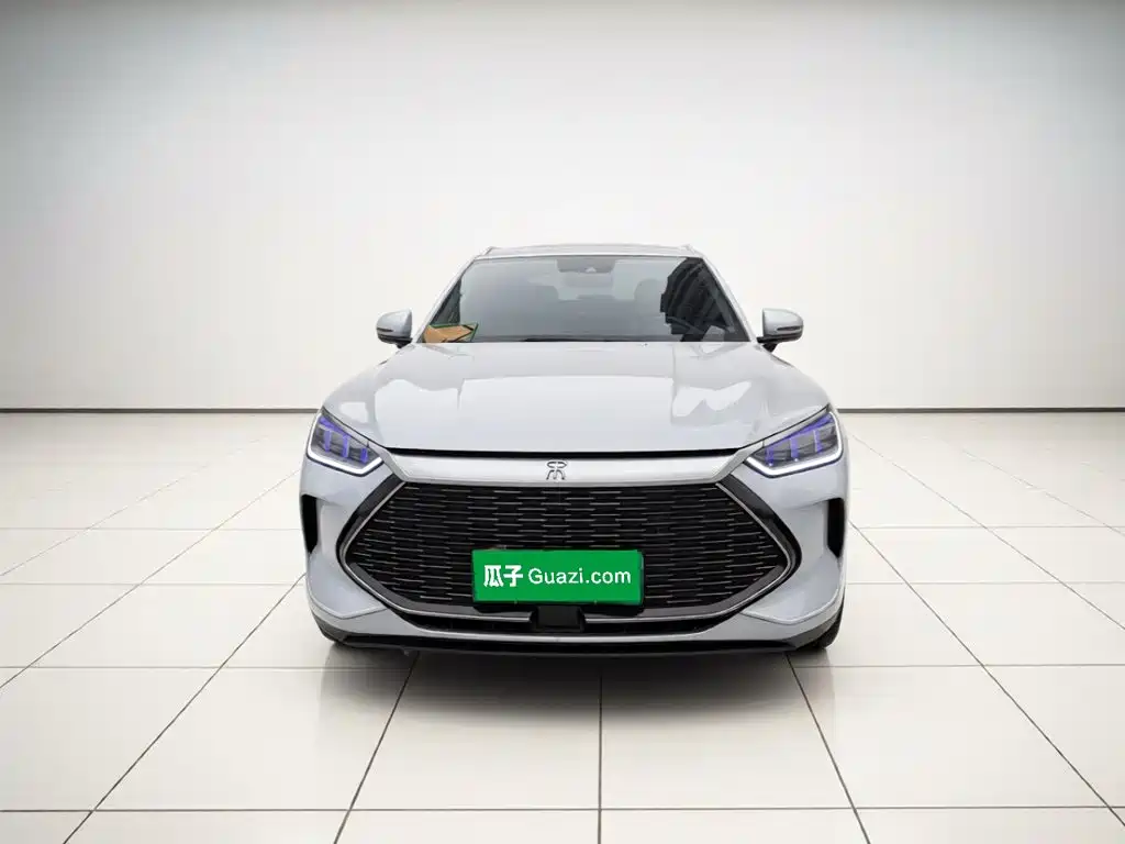 BYD PLUS New Energy — миниатюра 2