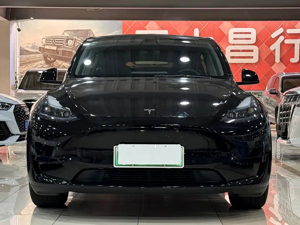 Tesla Model Y — миниатюра 2