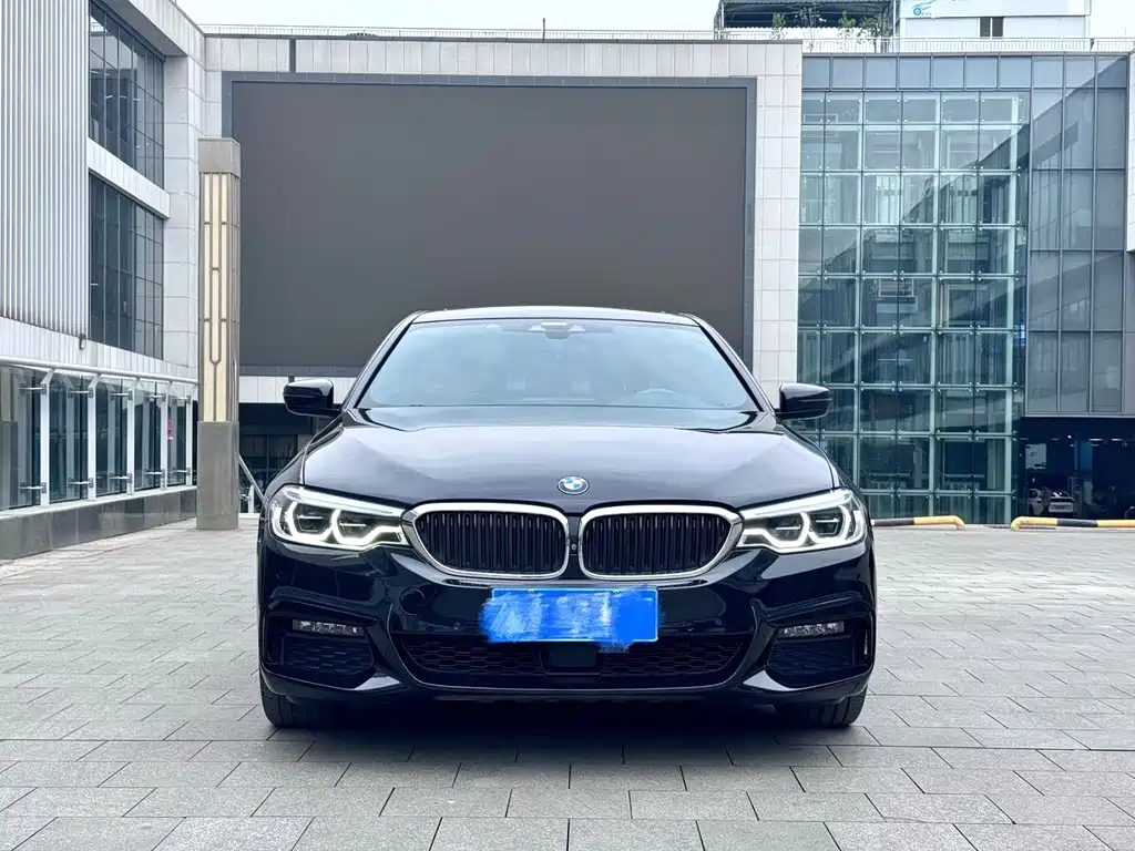 BMW 5 Series 5 2019 530Li Premium M Sport