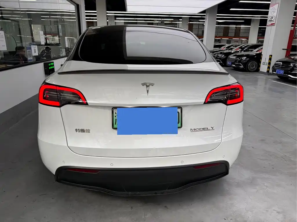 Tesla Model Y — миниатюра 14