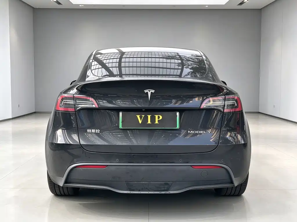 Tesla Model Y — миниатюра 5