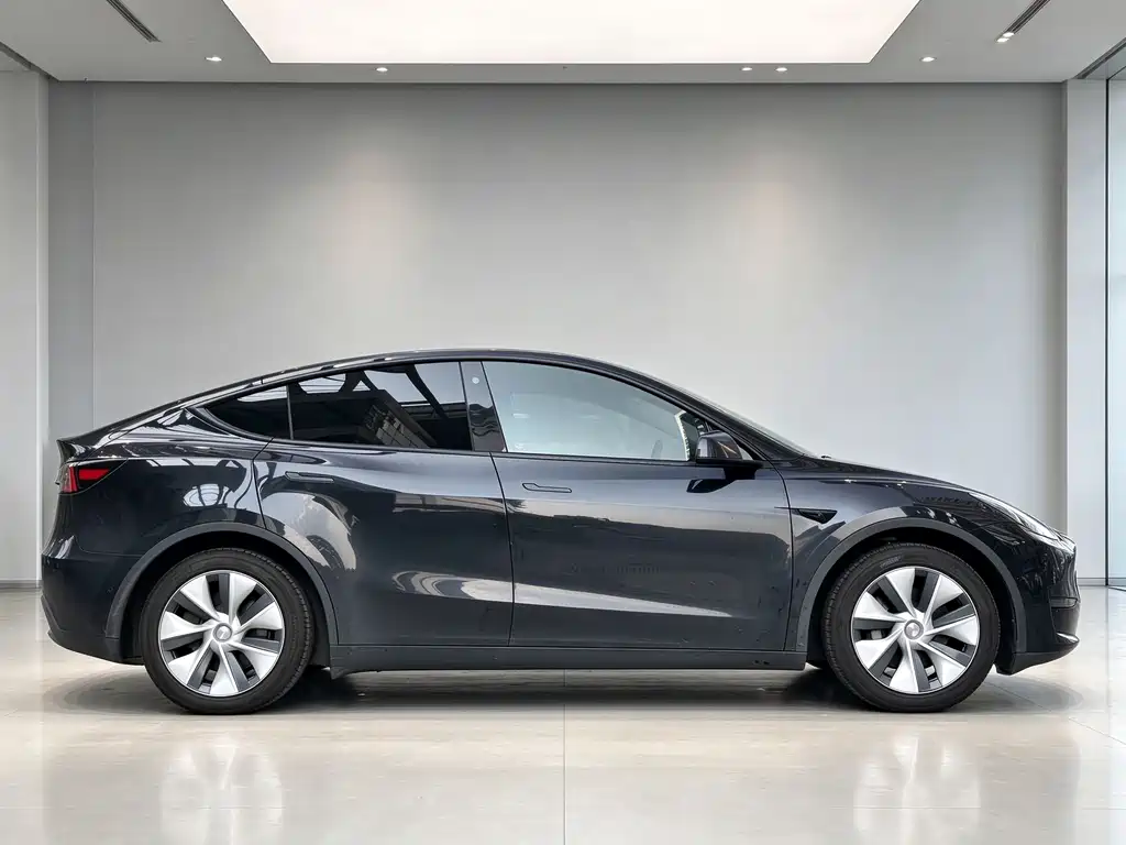 Tesla Model Y — миниатюра 7