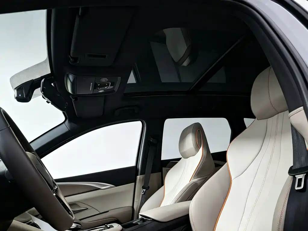 BYD Pro New Energy — миниатюра 10